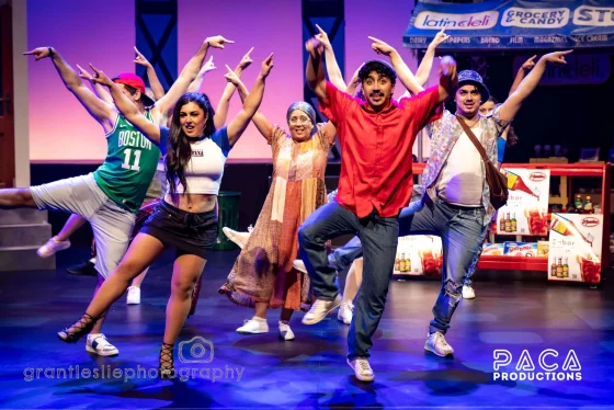 IN THE HEIGHTS