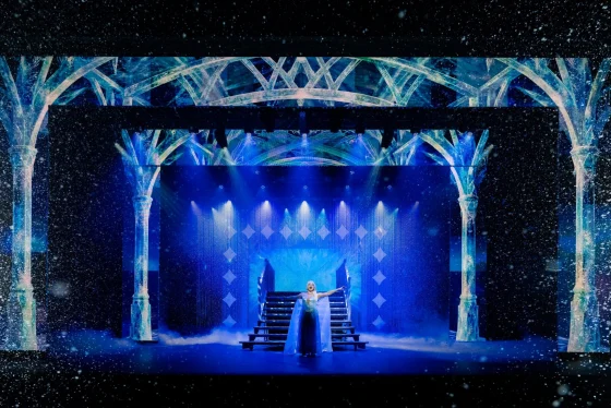 DISNEY'S FROZEN